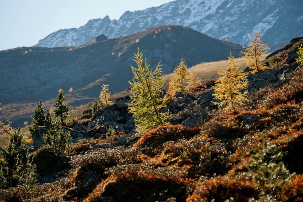 Ad Laca See Exteriér fotografie